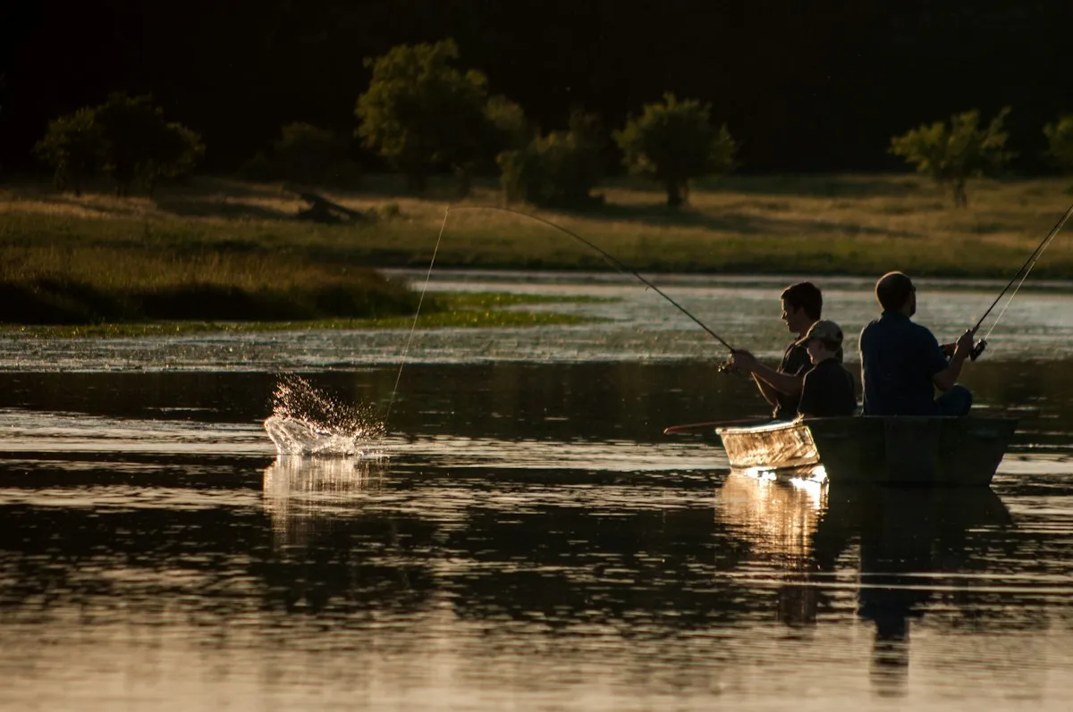 Silhouettes en famille pêchant à la ligne depuis un bateau au coucher du soleil