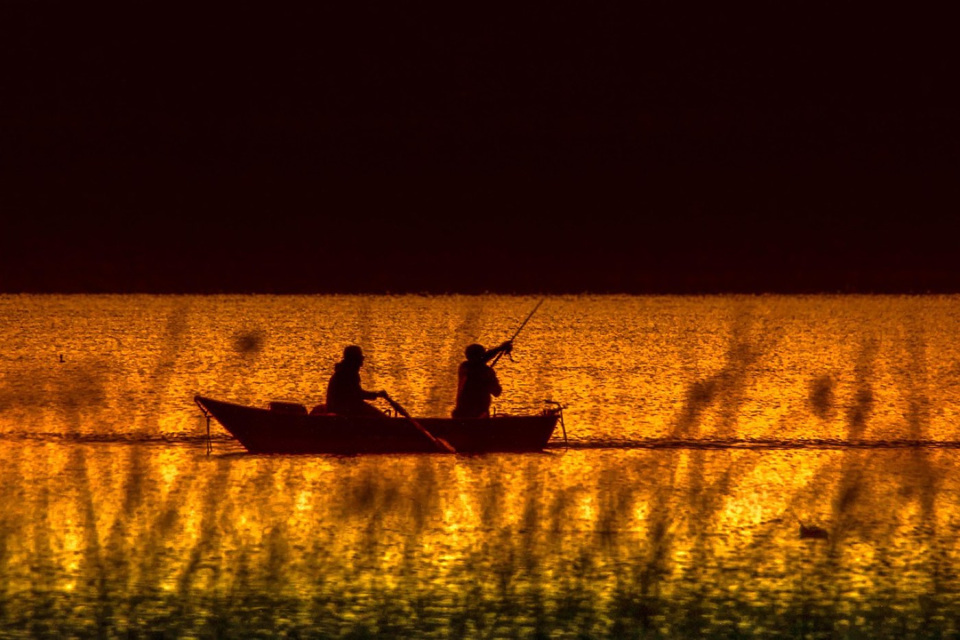 Avis et test utilisateurs Lowrance HDS pour pêche et navigation