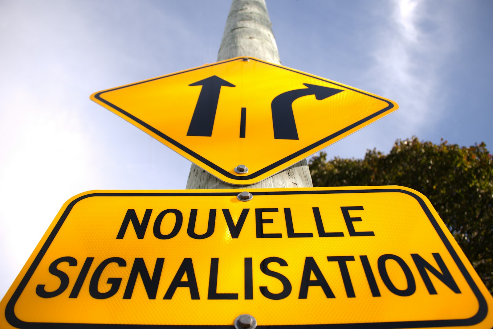 PMM : plus de 40 jeunes volontaires et ce que ça change pour votre navigation