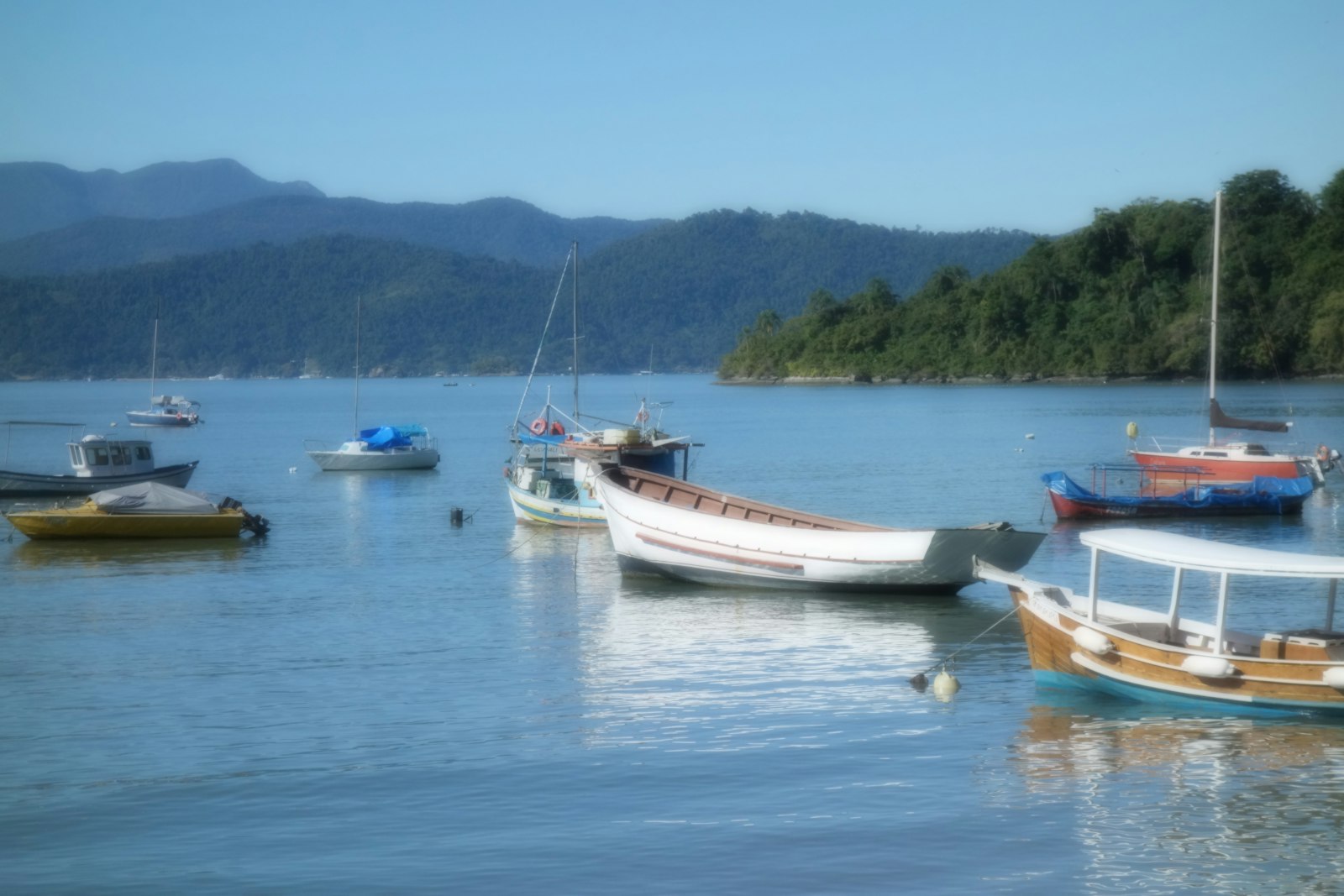 La pêche, l'alliée insoupçonnée de l'inclusion sociale en mer